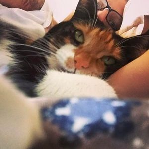 Meet your Posher, Helena